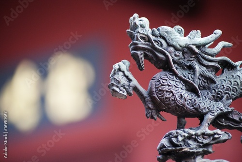 Canvas Print dragon