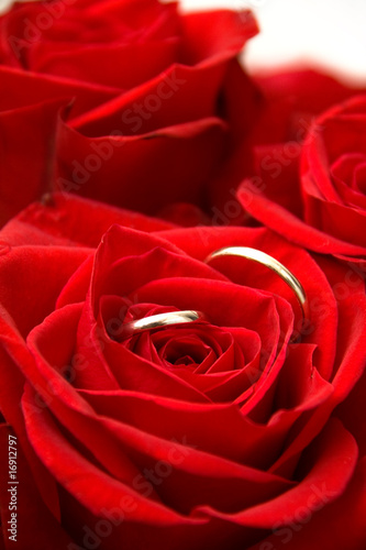 Gold Rings inside of Red Rose