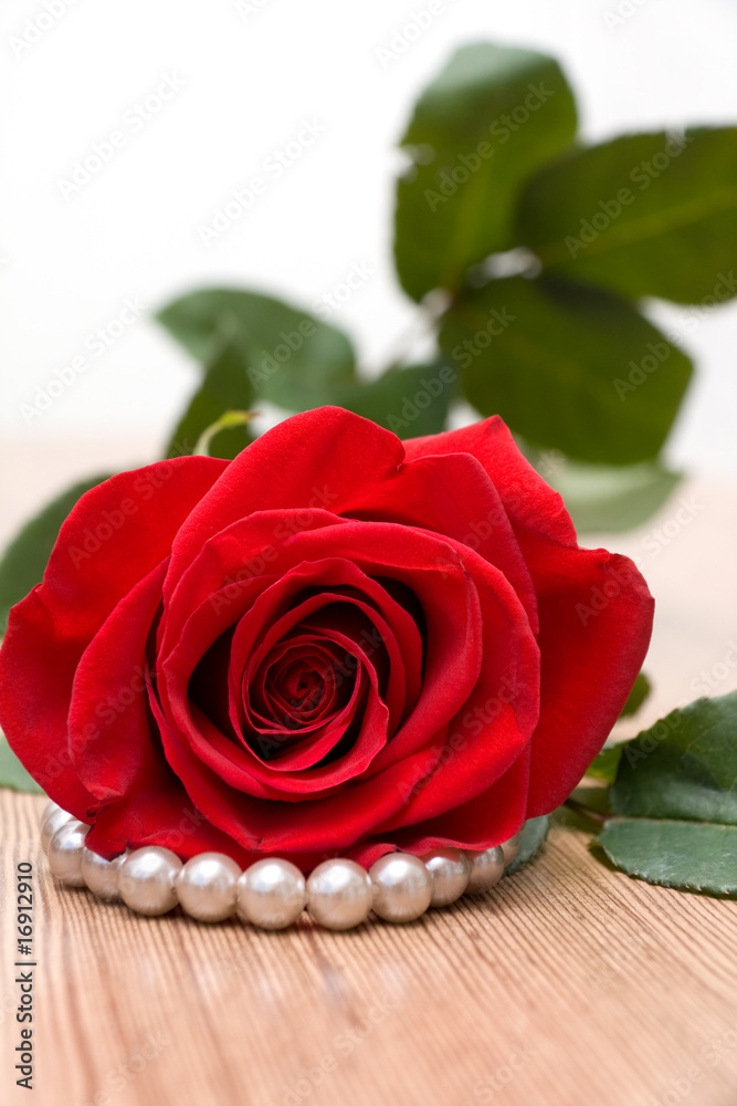 Red Rose and Perls on Wooden Table Red Rose and Perls on Wooden Table
