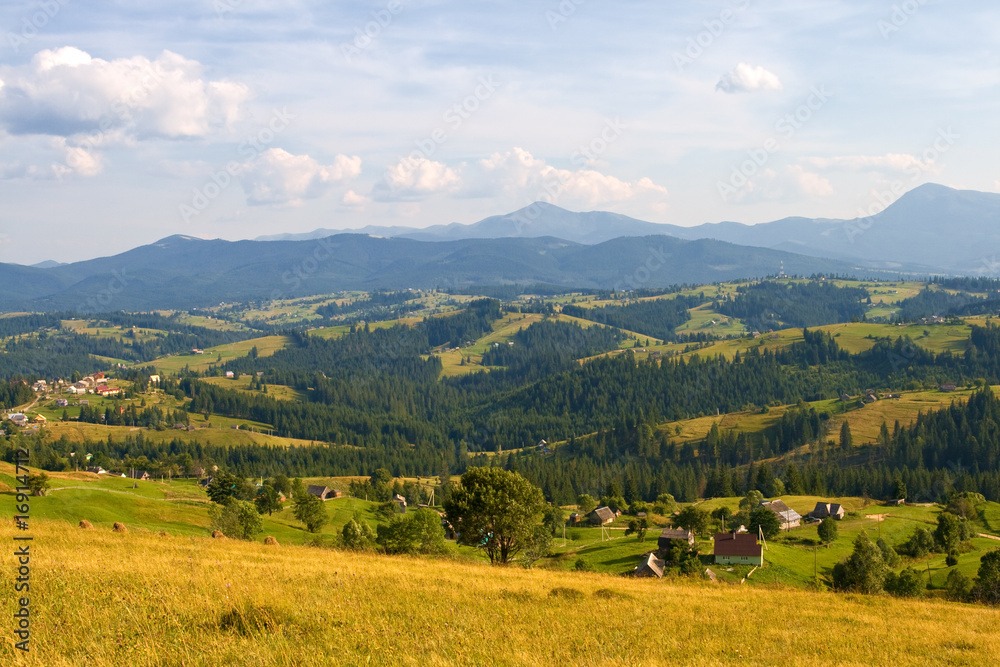 Fototapeta premium typowo słoneczna scena wiejska