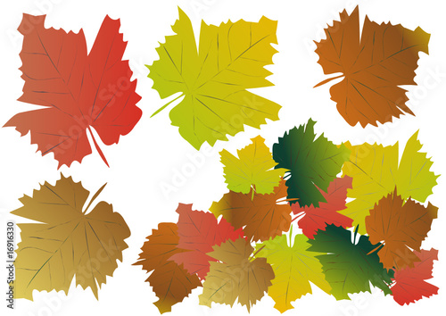 herbstlaub
