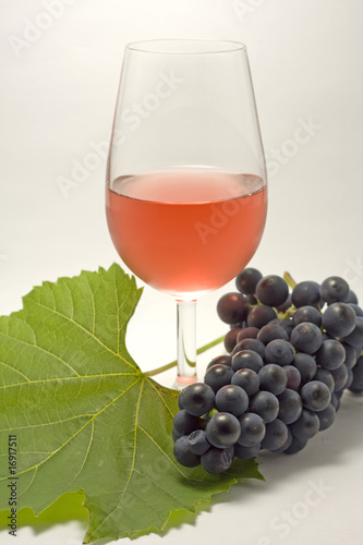 Vins