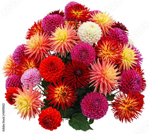 Flower arrangement of chrysanthemums and dahlias Fototapeta