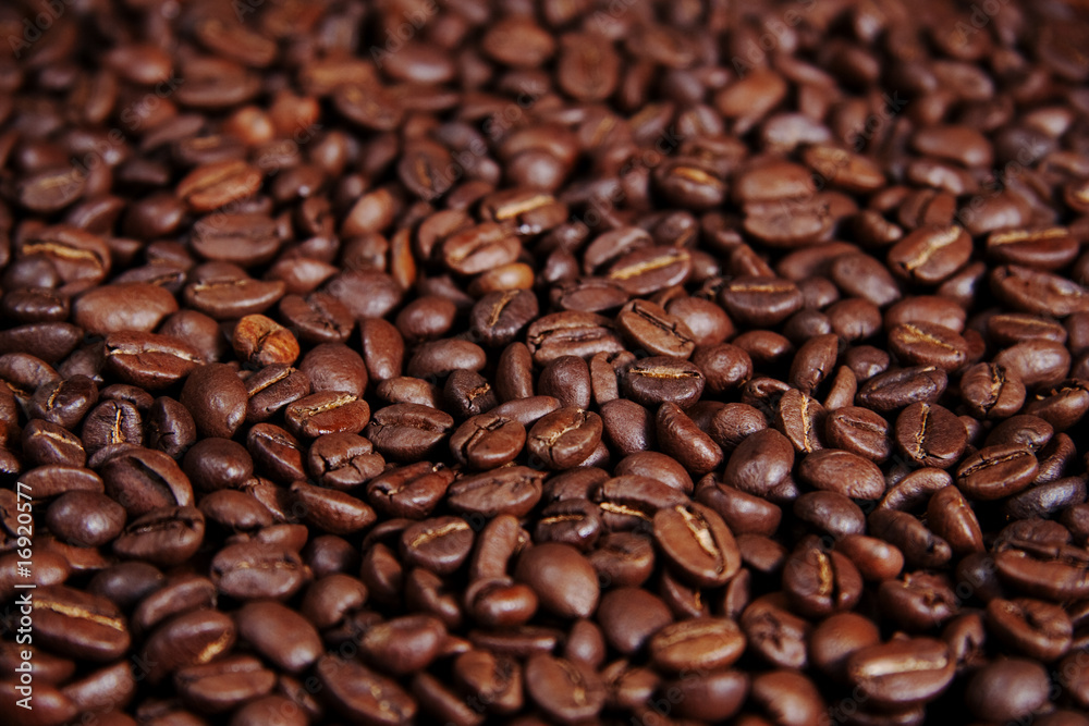 Menge an hell beleuchtetem glänzendem Kaffee, geröstete Kaffeebohnen Hintergrundmuster mit Schärfeverlauf / Tiefenunschärfe Menge an hell beleuchtetem glänzendem Kaffee, geröstete Kaffeebohnen Hintergrundmuster mit Schärfeverlauf / Tiefenunschärfe