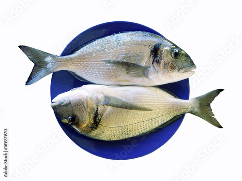 Two Fishes in a Plate