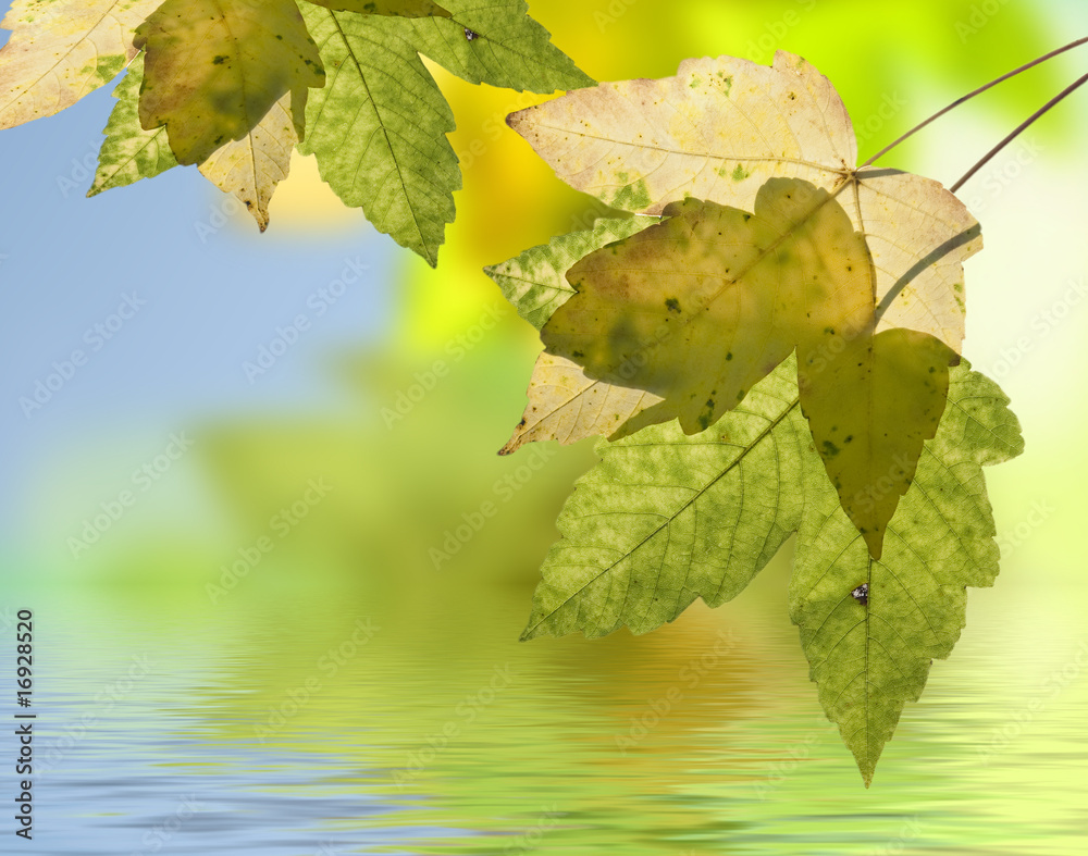 Obraz premium Herbststimmung