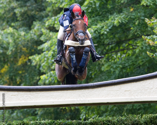 Horse Obstacle Jump