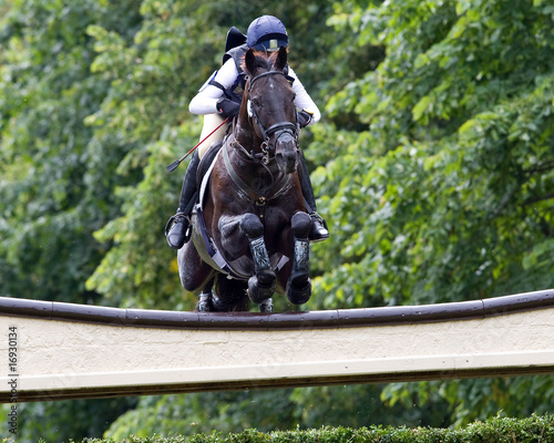 Horse Trial Cross Country Jump
