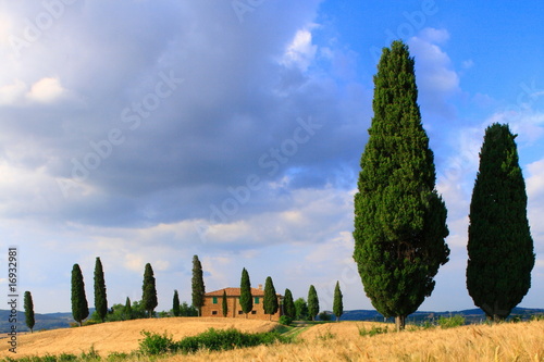 Zypressen  Haus im Gr  nen  Wolkenhimmel  Toskana  Italien