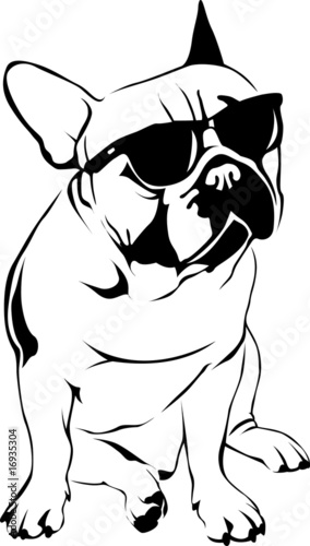 Cool Boy - French Bulldog