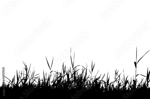 Grass silhouette black