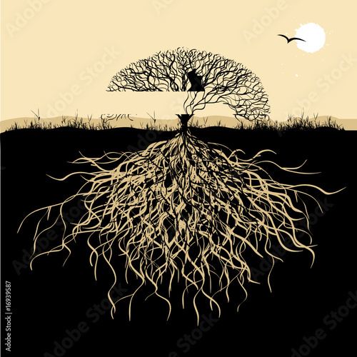 Tree silhouette with roots