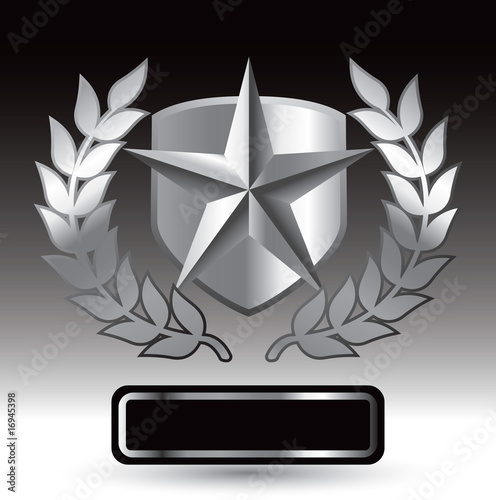 Star on shield with leaves on nameplate