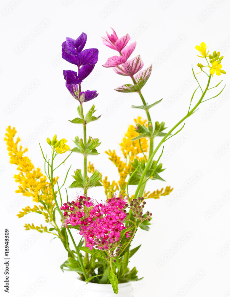 Fototapeta premium Wild flowers bouquet