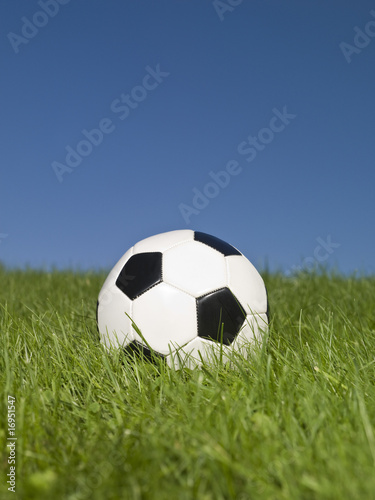Black and white football in green grass. © gemenacom