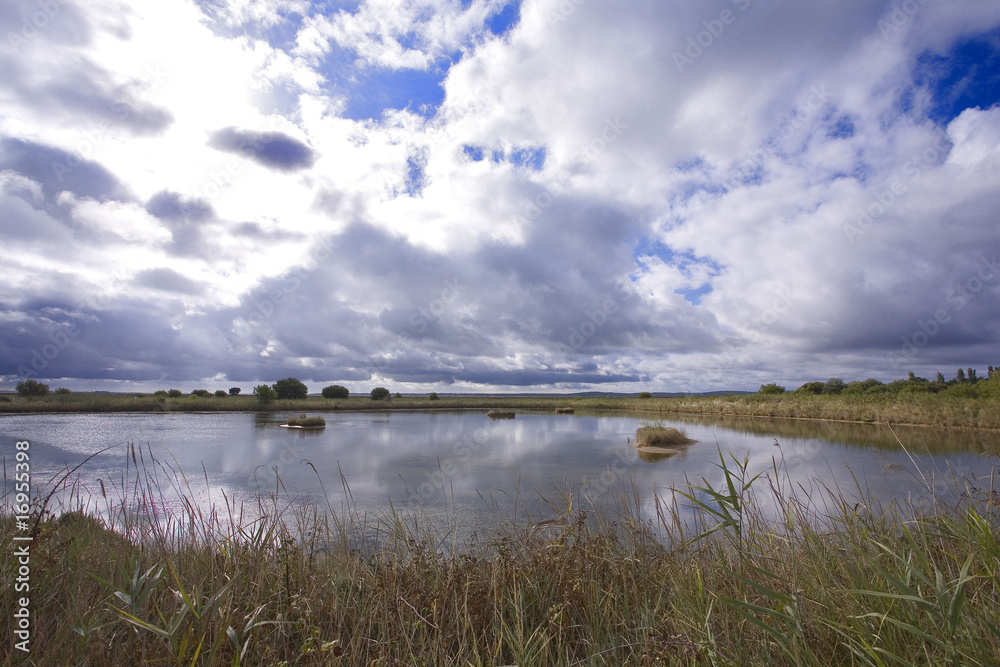 france; charente maritime; oléron :  marais des bris