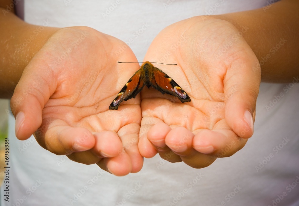 Papillon dans les mains d'un enfant