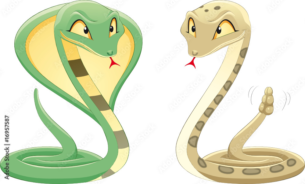 Fototapeta premium Two Snakes: Cobra and Pit Viper.