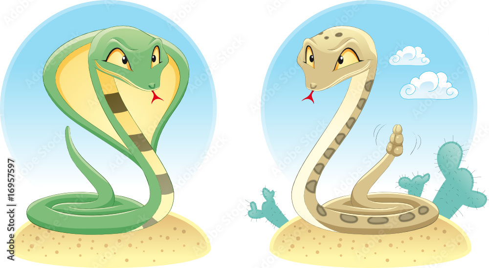 Fototapeta premium Two Snakes: Cobra and Pit Viper with background.