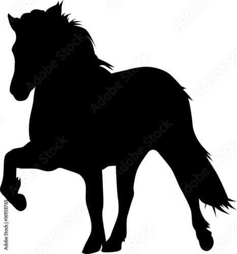 Toelt 02 - IcelandicHorse