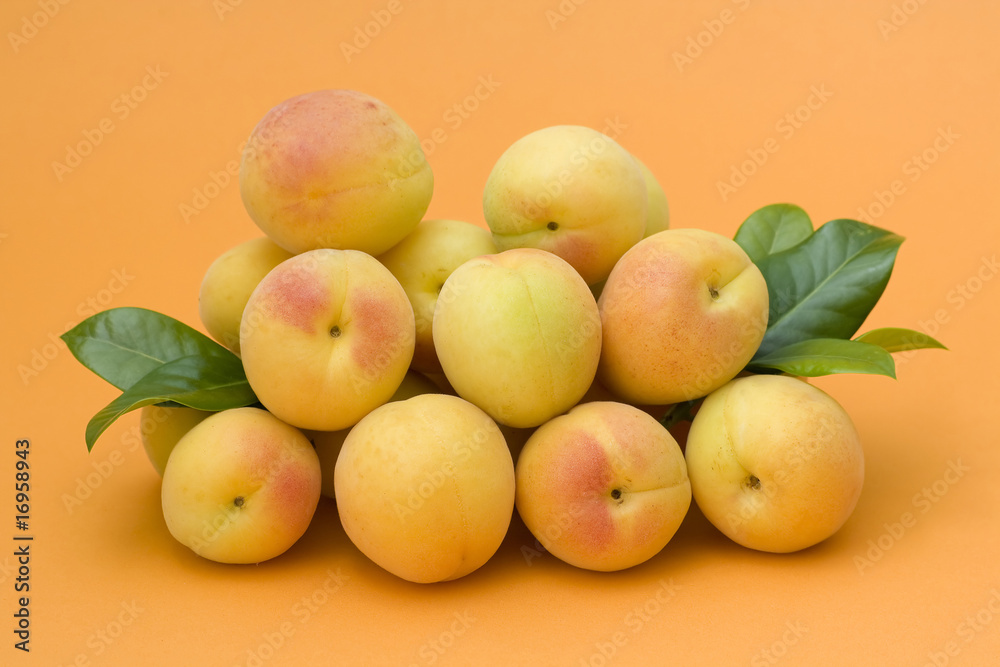 apricots apricots