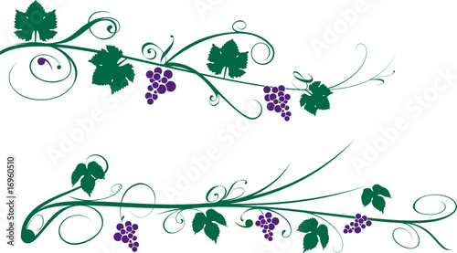 treille de vigne