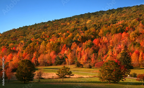 Beautiful autumn landscape