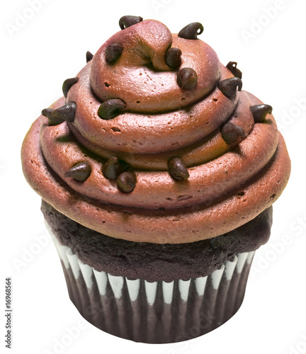 Chocolate Chip Cupcake