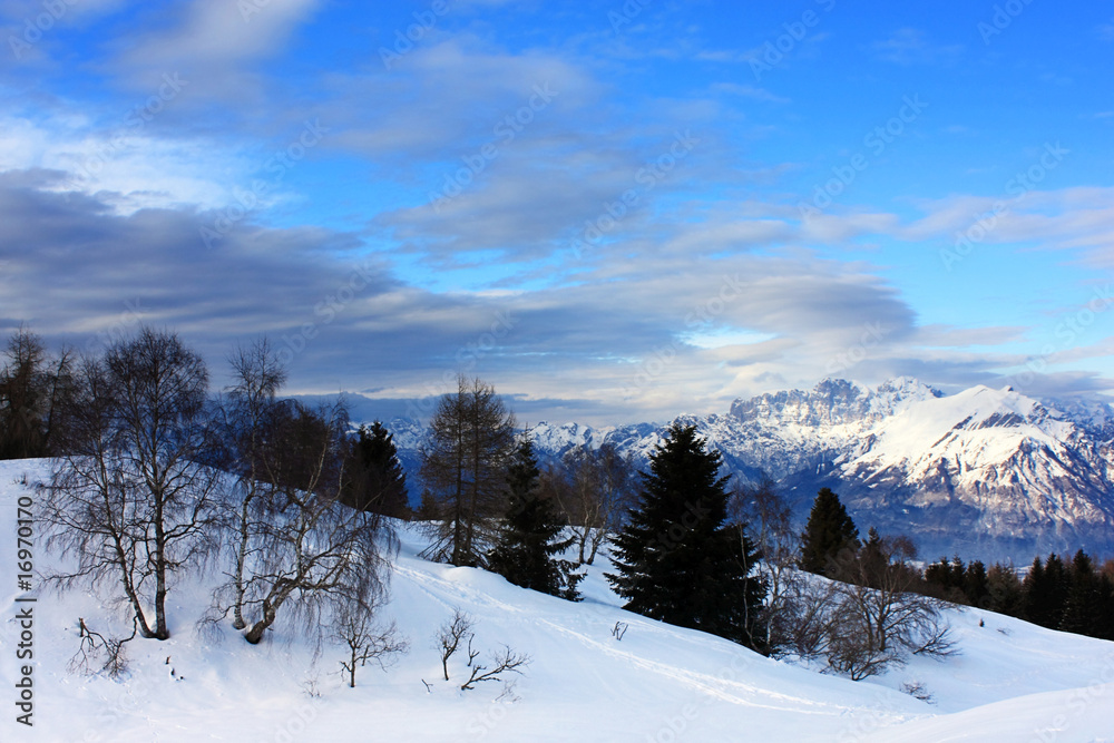 Paesaggio innevato