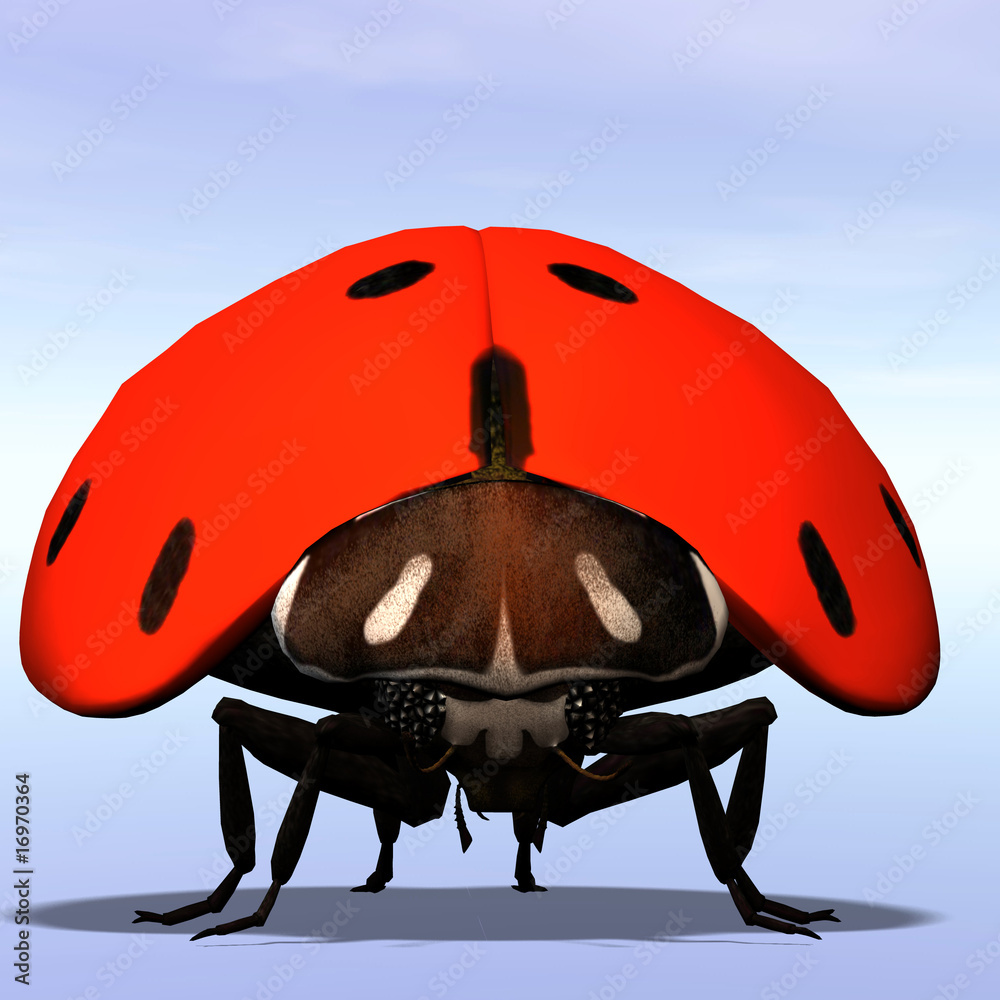 Fototapeta premium Ladybug #05