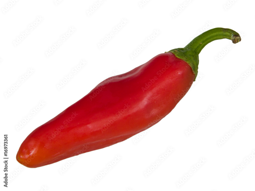 Red hot chili pepper Red hot chili pepper