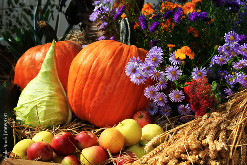 autumn arrangement