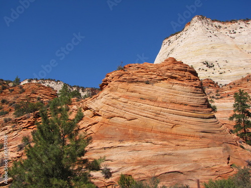 Slopes of Zion canyon. Utah. USA