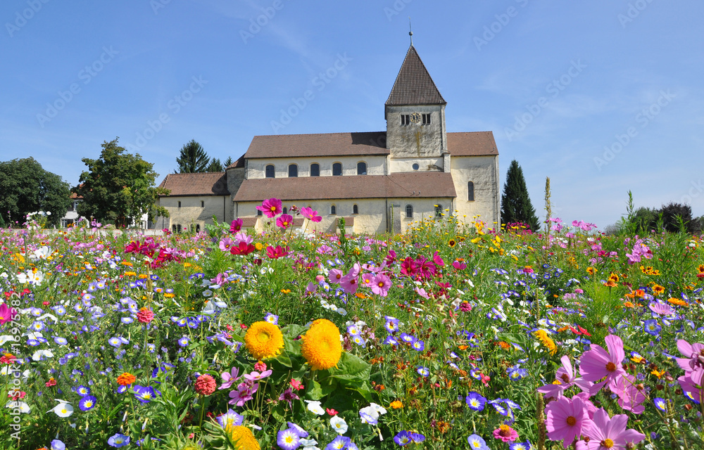 Kirche mit Blumenwiese