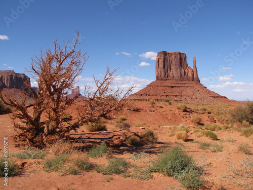 Monument valley during late afternoon