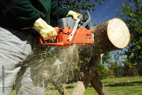 The chainsaw