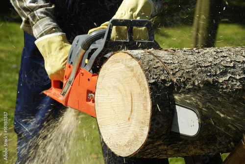 The chainsaw photo