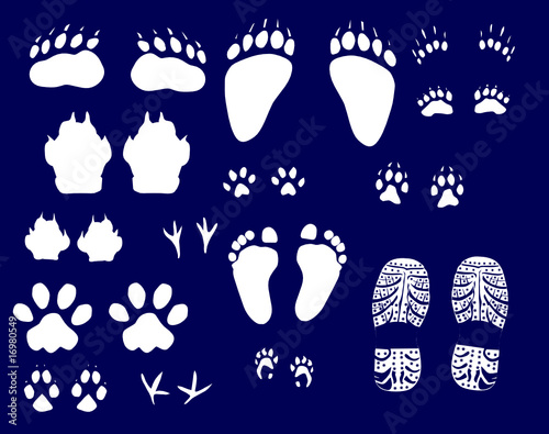 animals and human tracks collection
