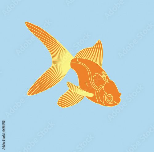 Gold fish