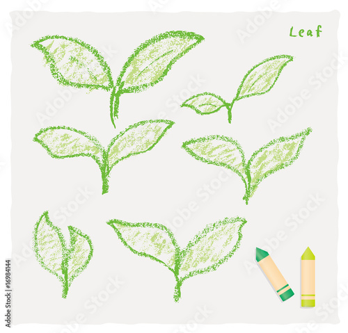 クレヨンで描いた芽