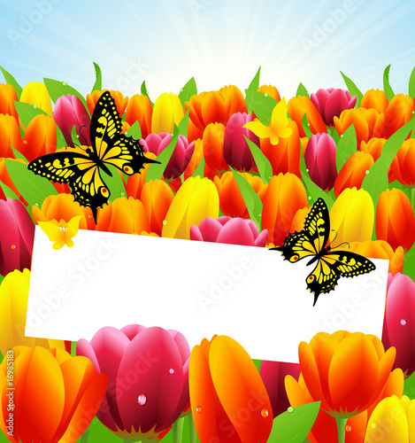 Tulip frame