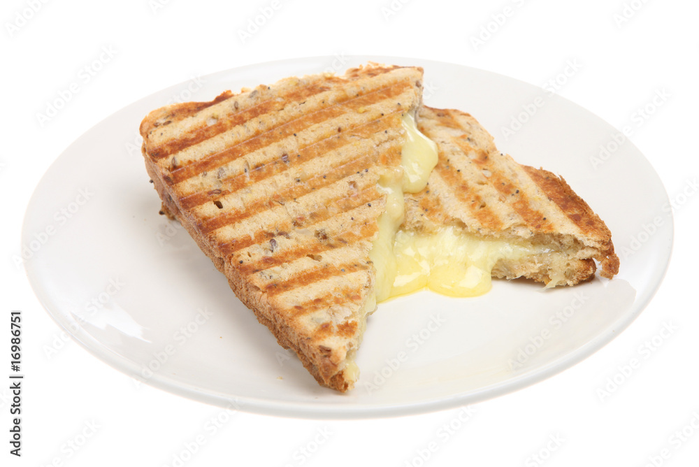 Toast Cheese Pressed Sandwich Toast Cheese Pressed Sandwich