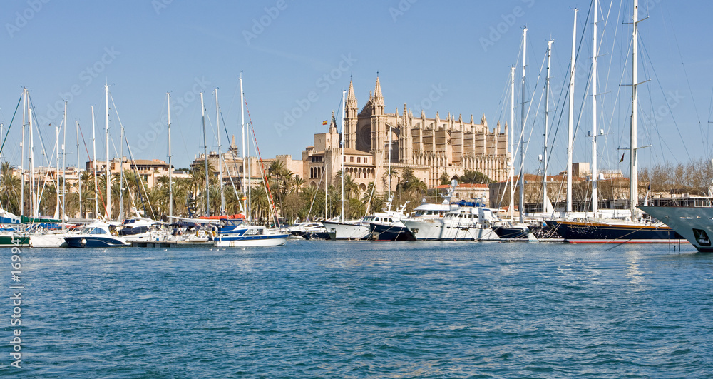Obraz premium Cathedral of Palma de Mallorca, Spain