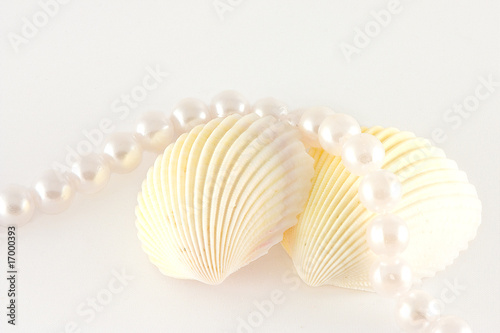 Shells and rope of pearls