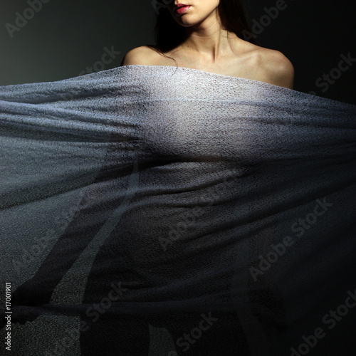 Anonymous nude of girl silhouetted behind sheer cloth .