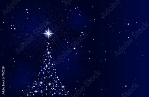Peaceful starry night with Christmas tree
