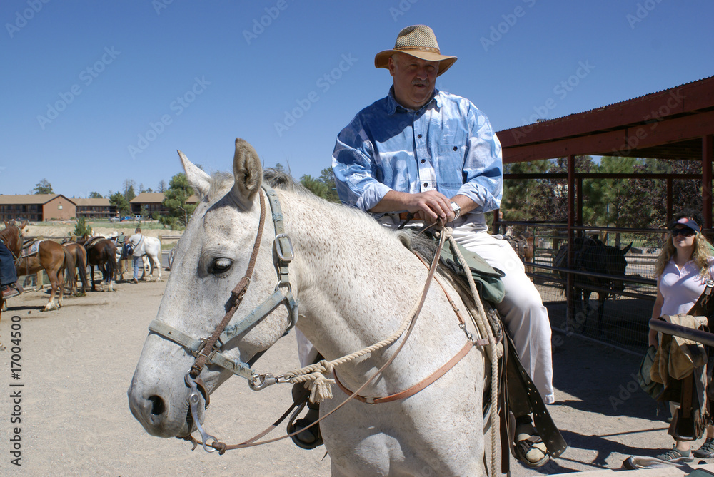 Obraz premium Senior riding