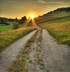 Sunset