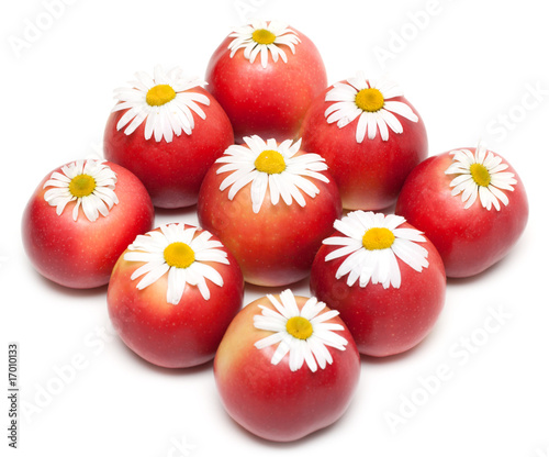 Apple and daisywheels