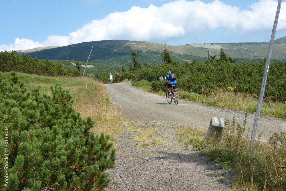 Obraz premium Mountainbiking